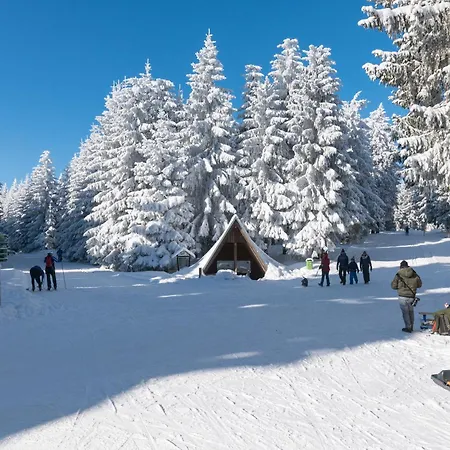 Appartement Tannenblick 3-2