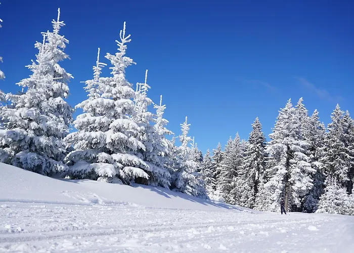Tannenblick 3-2 * Oberhof (Thuringia)
