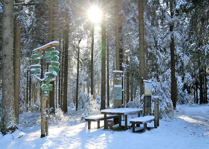 Tannenblick 3-2 Appartement *