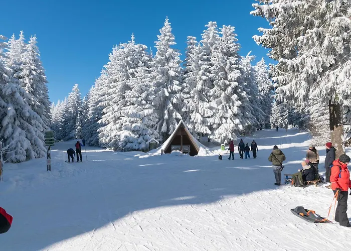 Appartement Tannenblick 3-2